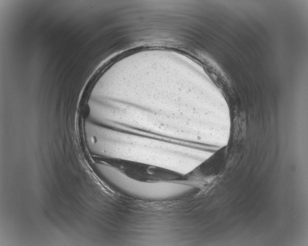 X0000082200932200702170014