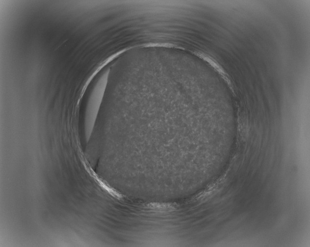 X0000082200933200702170014