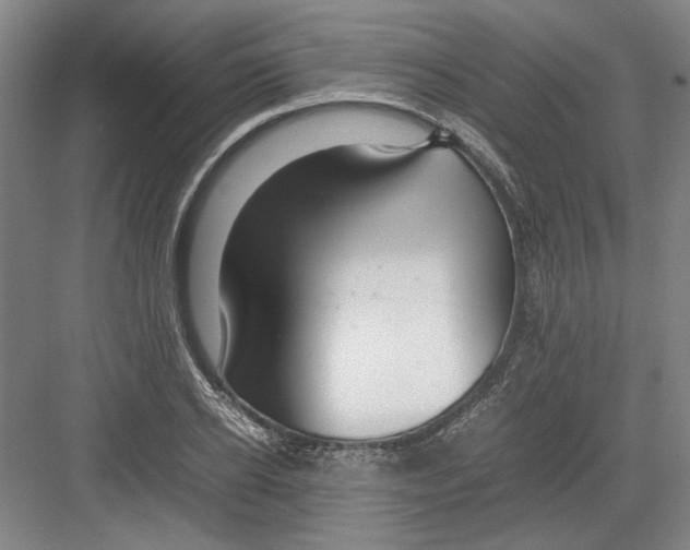 X0000082200934200702170014