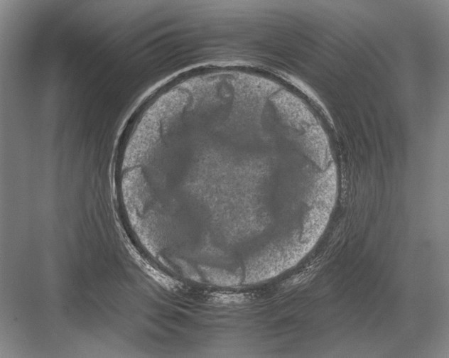 X0000082200935200702170014