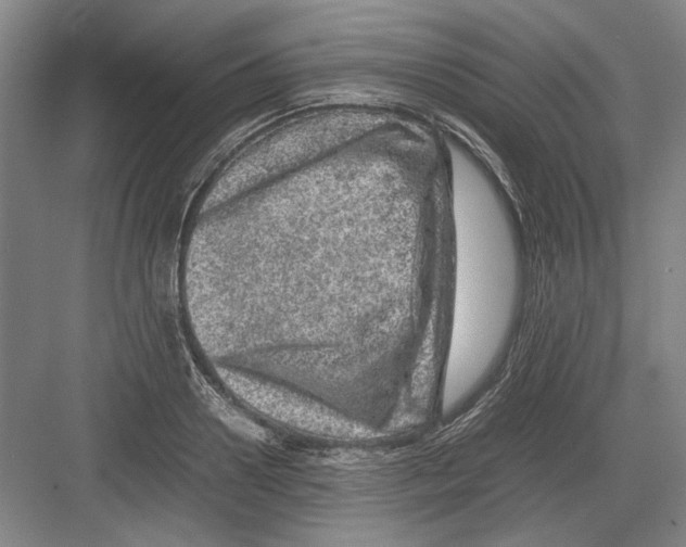 X0000082200938200702170014