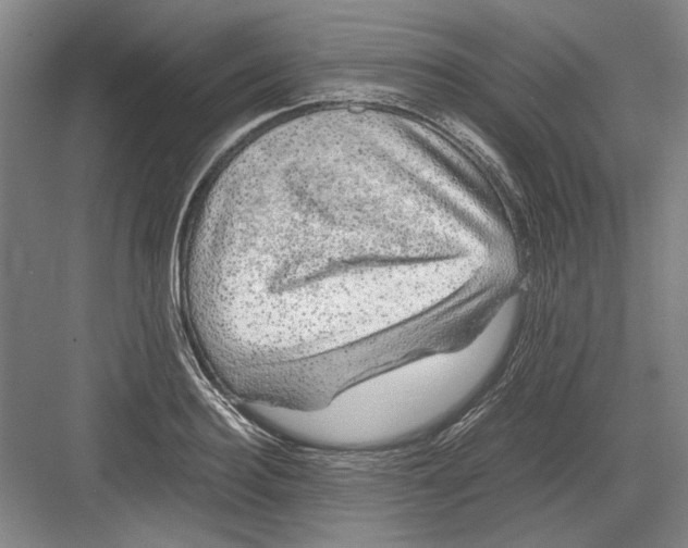 X0000082200940200702170014