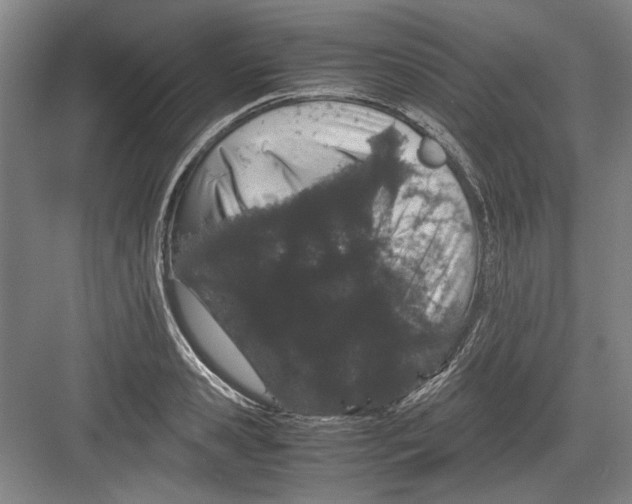 X0000082200941200702170014