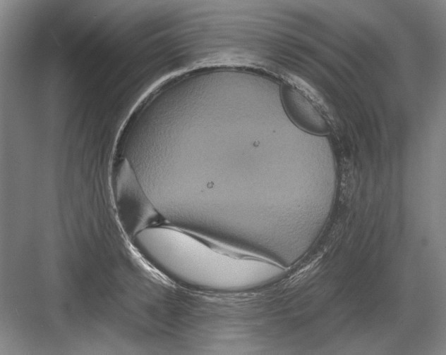 X0000082200942200702170015