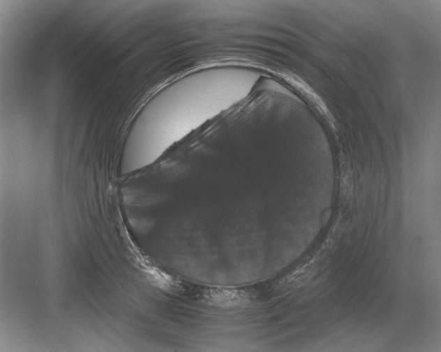 X0000082200945200702170015