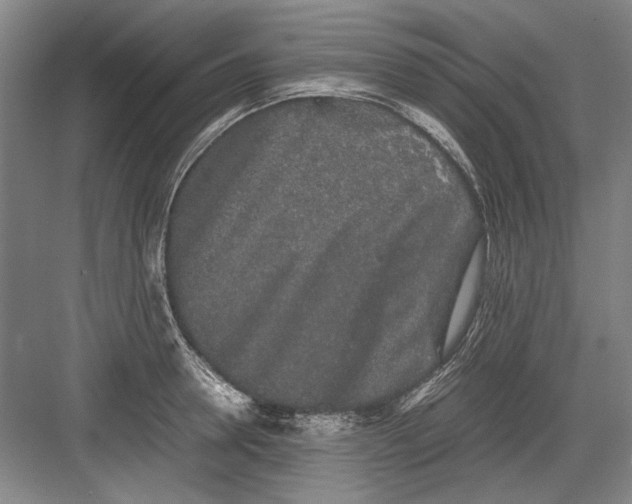 X0000082200946200702170015