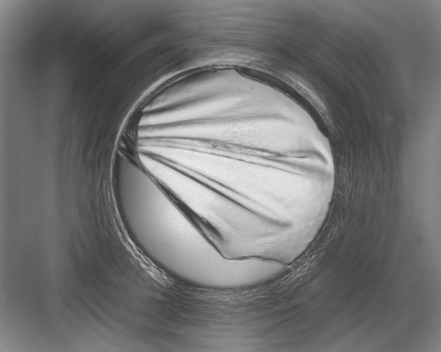 X0000082200948200702170015