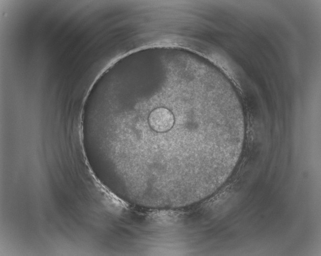 X0000082200950200702170015