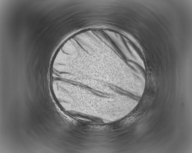 X0000082200951200702170015