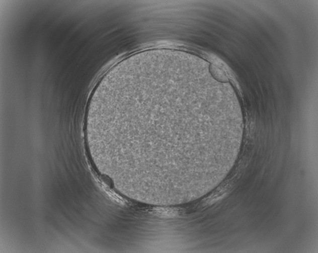 X0000082200954200702170015