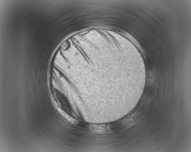 X0000082200955200702170015