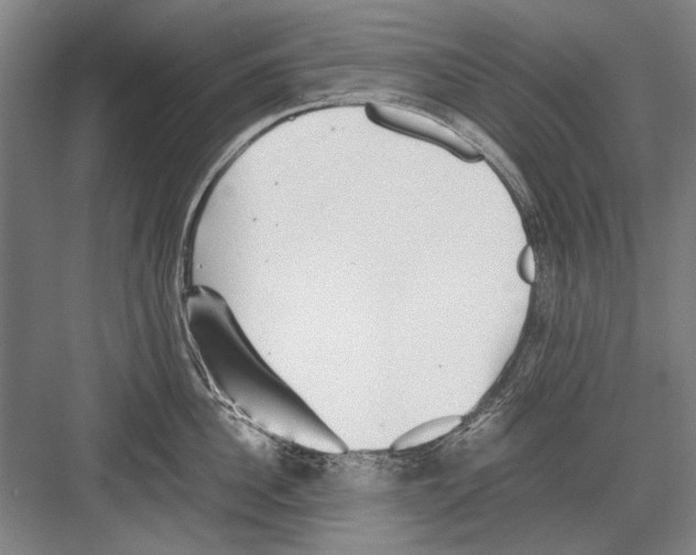 X0000082200956200702170015