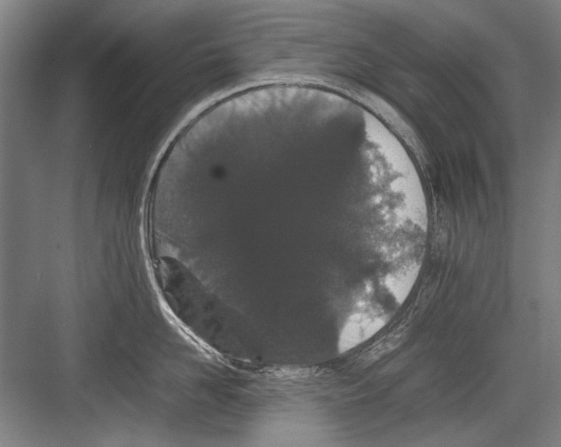 X0000082200958200702170015