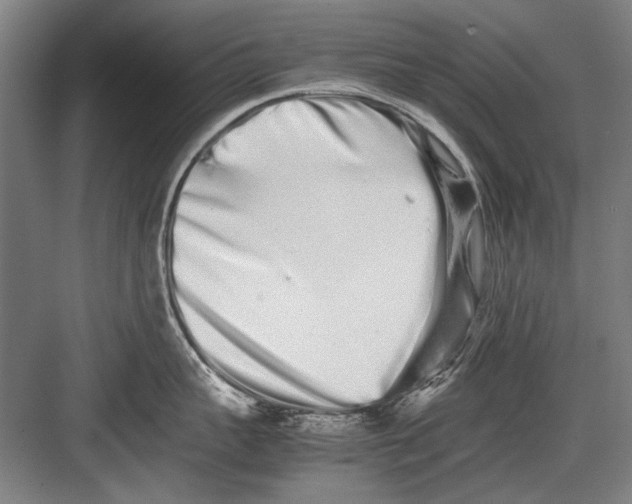 X0000082200959200702170015