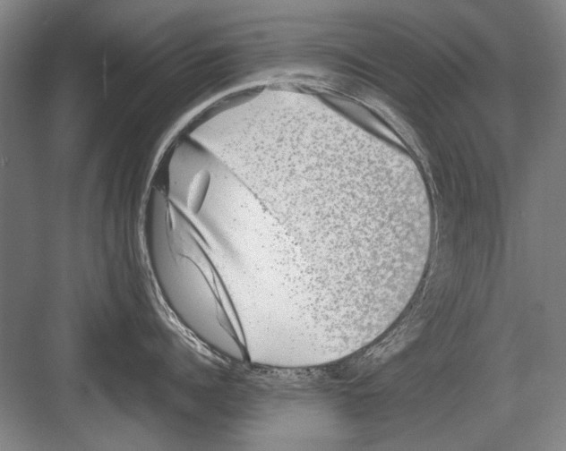 X0000082200960200702170015