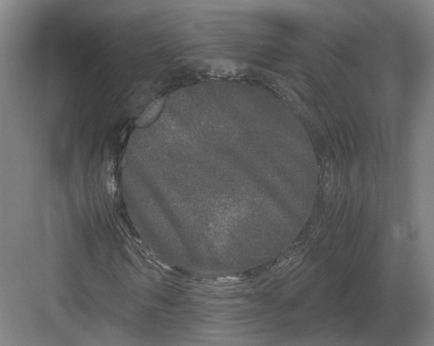 X0000082200962200702170014