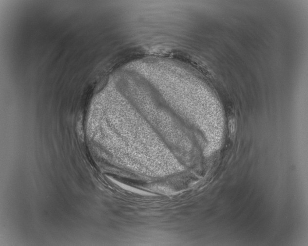 X0000082200963200702170014