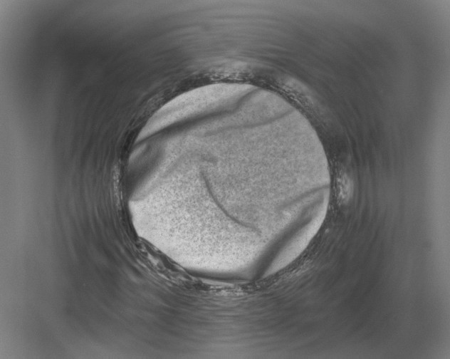 X0000082200964200702170014