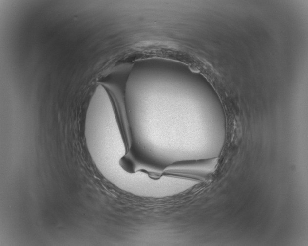 X0000082200965200702170014