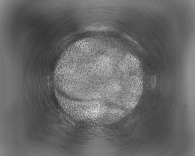 X0000082200966200702170014