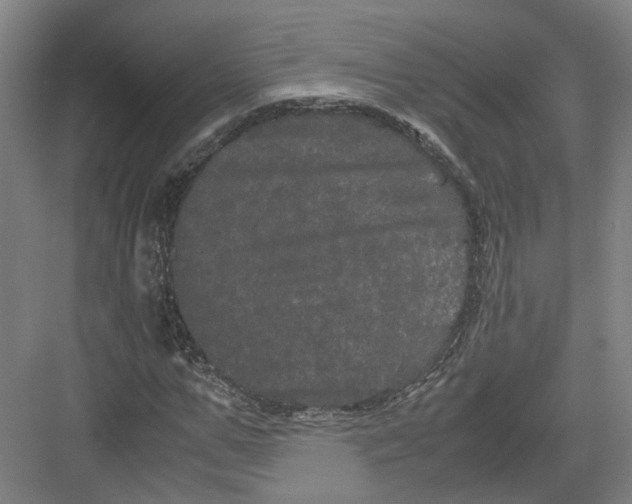 X0000082200967200702170014