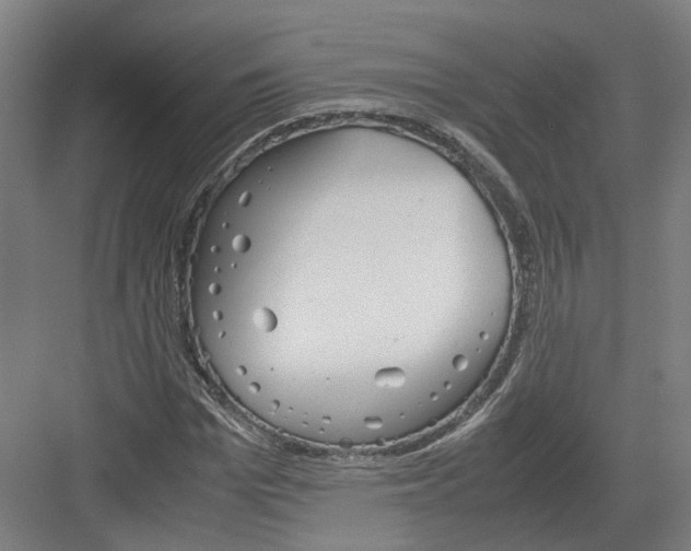 X0000082200969200702170014