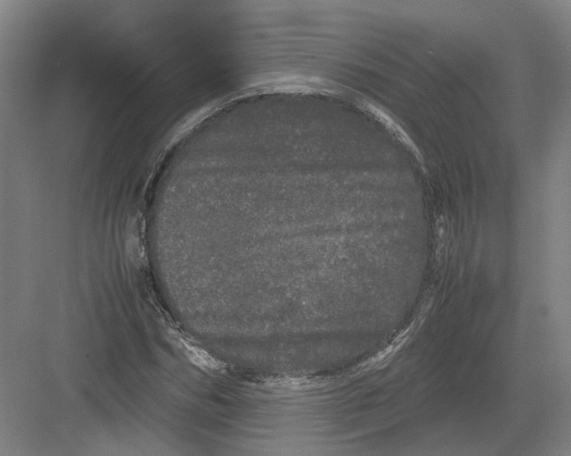 X0000082200970200702170014