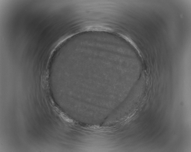 X0000082200971200702170014