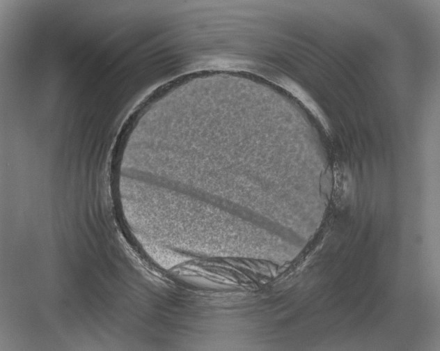 X0000082200972200702170014