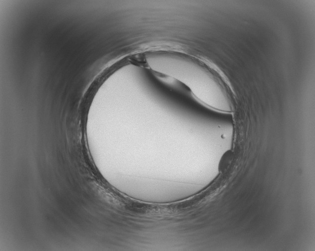 X0000082200973200702170014