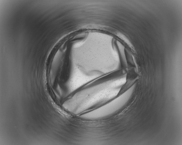 X0000082200976200702170014