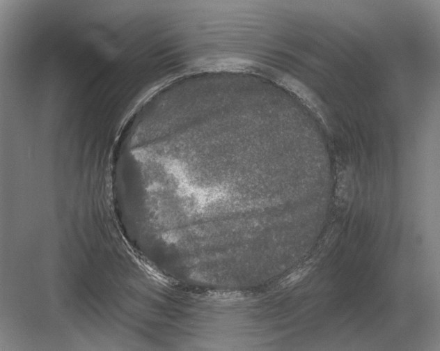 X0000082200978200702170014