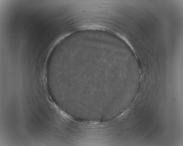 X0000082200979200702170014