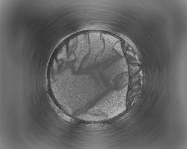 X0000082200980200702170014