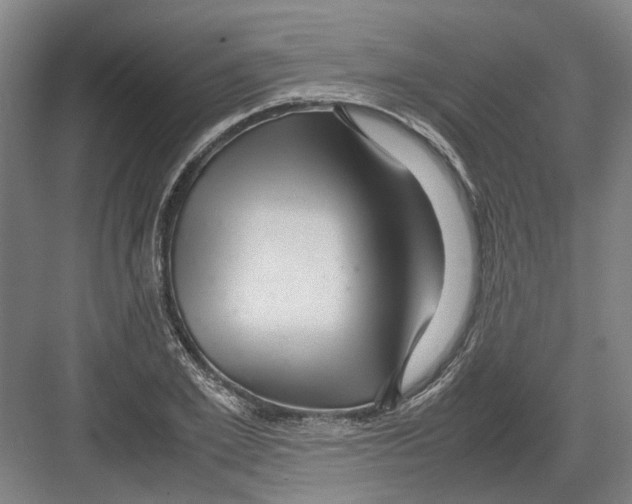 X0000082200981200702170014