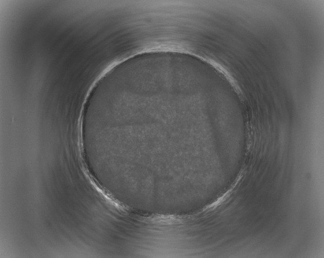 X0000082200982200702170014