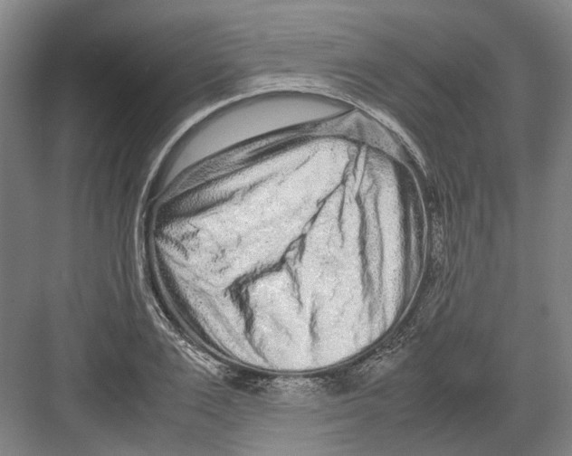 X0000082200983200702170014