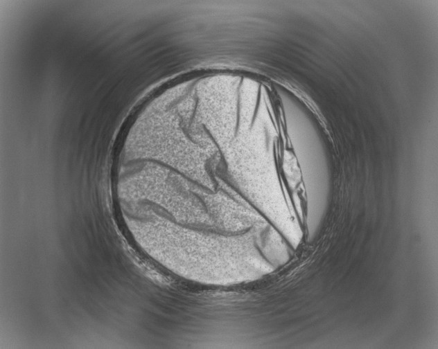 X0000082200984200702170014