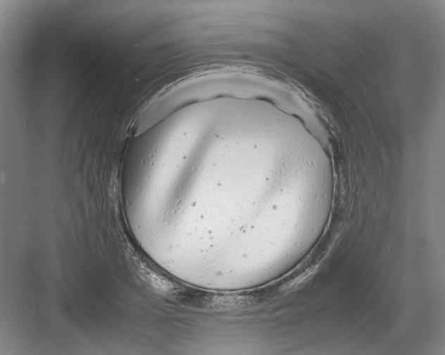 X0000082200985200702170014