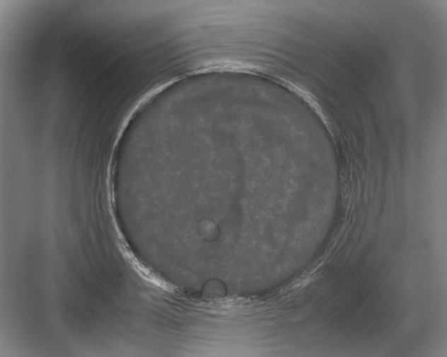 X0000082200987200702170014