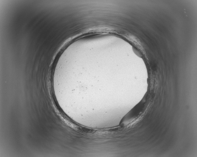 X0000082200989200702170014