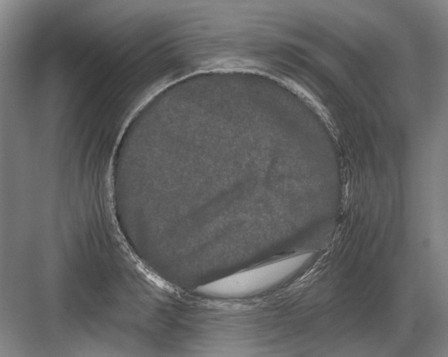 X0000082200990200702170014