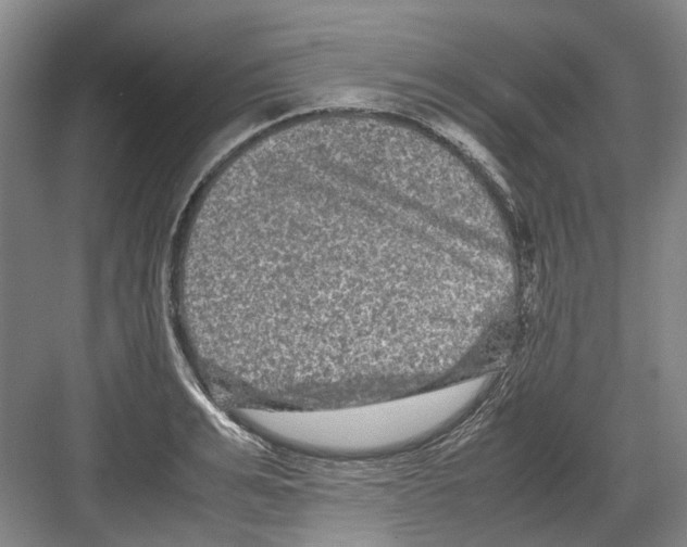 X0000082200991200702170014