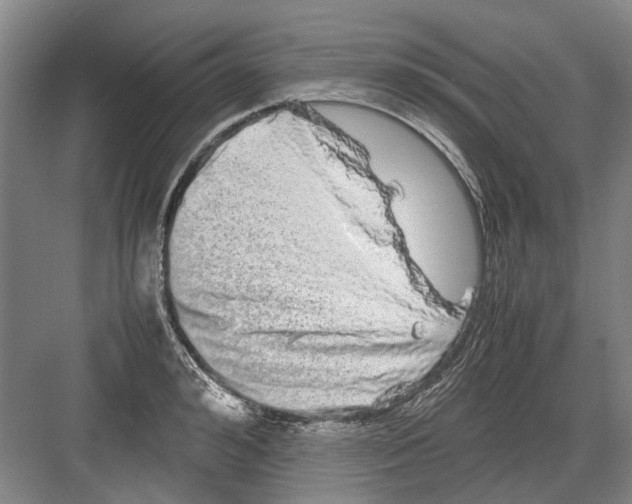 X0000082200992200702170013