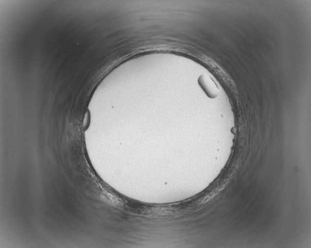 X0000082200993200702170013