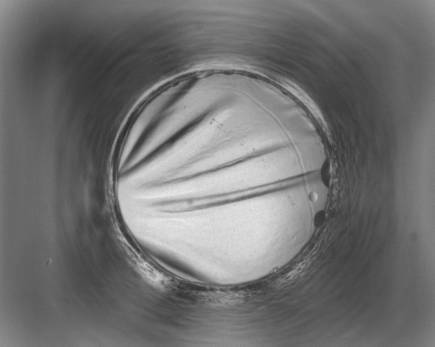 X0000082200996200702170013