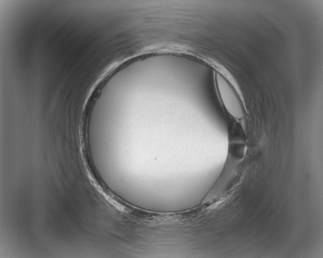 X0000082200997200702170013