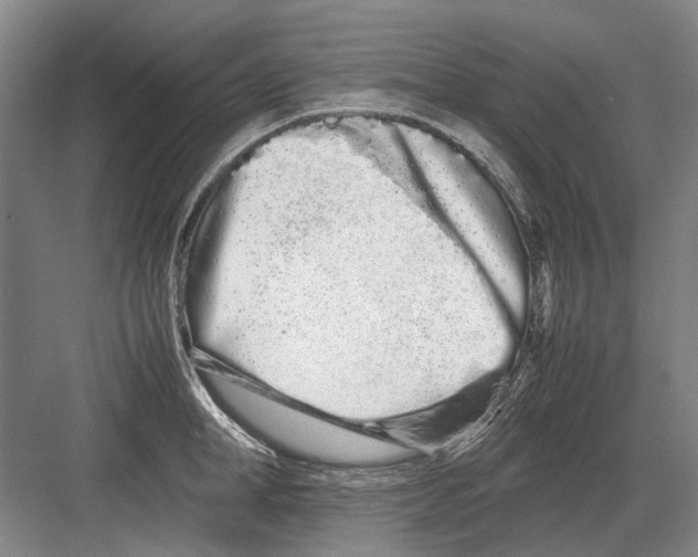 X0000082200998200702170013