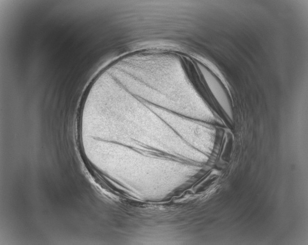 X0000082200999200702170013