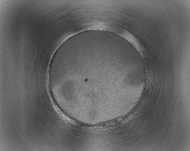 X0000082201000200702170013